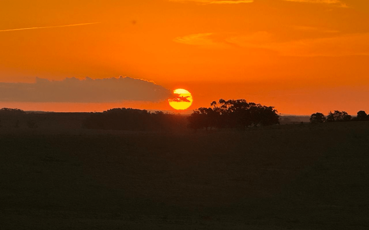 Finca puesta sol 3-min